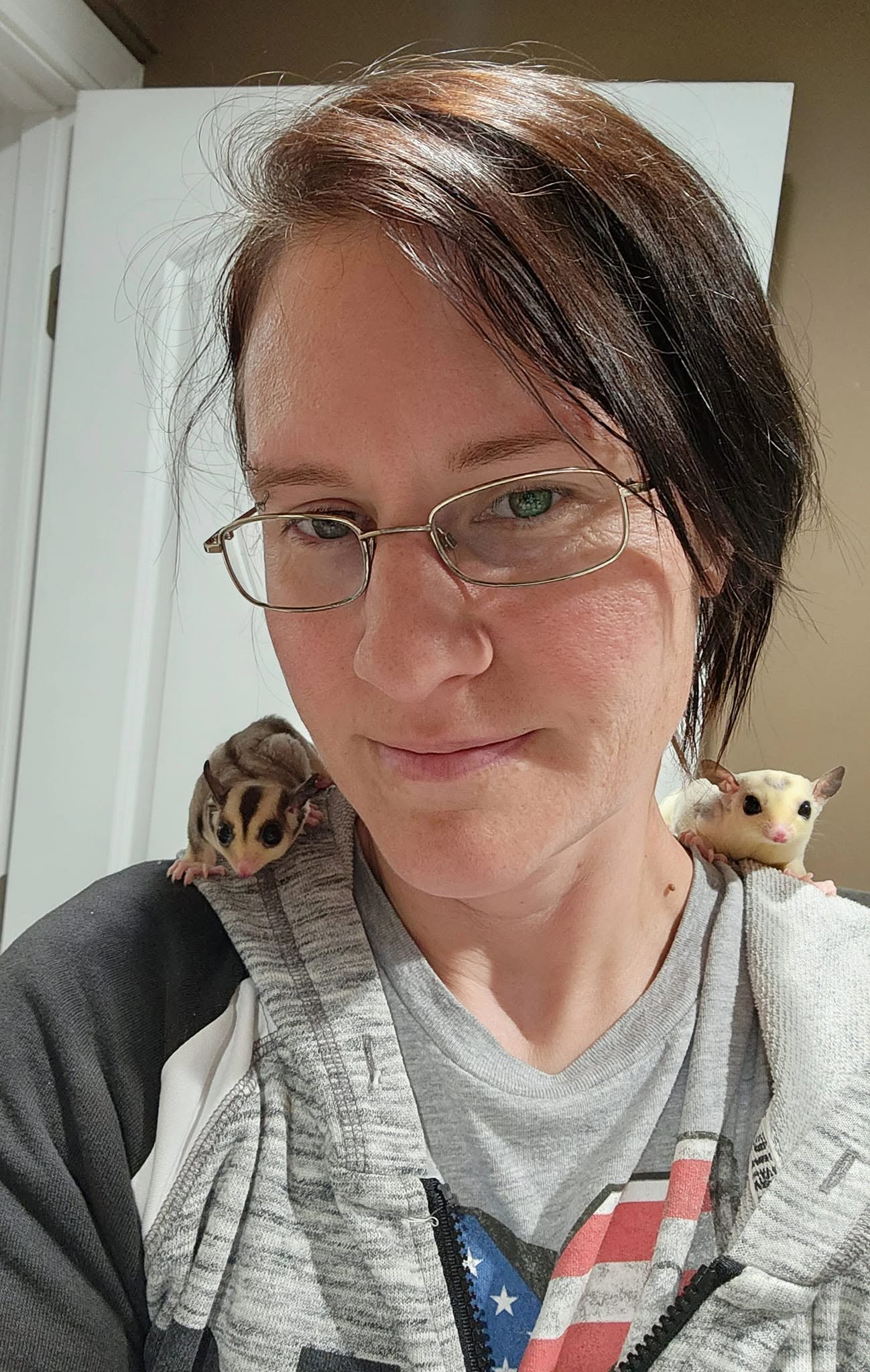 Sugar gliders with their caretaker